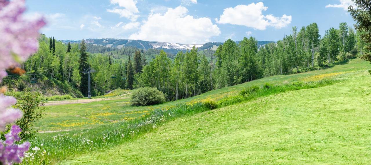 Laurelwood Condominiums 202 Snowmass Village Exteriér fotografie